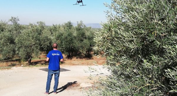 Asaja Málaga destaca la importancia de la aplicación de las nuevas tecnologías al olivar