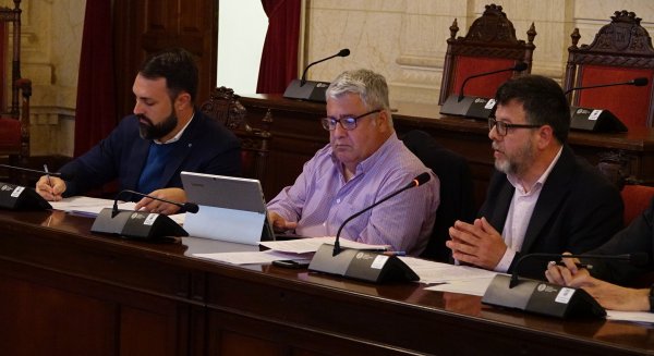 El PSOE lamenta que PP y Ciudadanos aboquen La Alcazaba a la misma suerte que Villa Maya y La Mundial