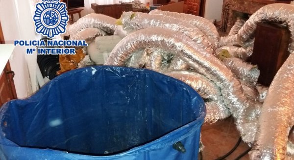 Detenidos los cinco componentes de una organización especializada en el cultivo de marihuana y su venta