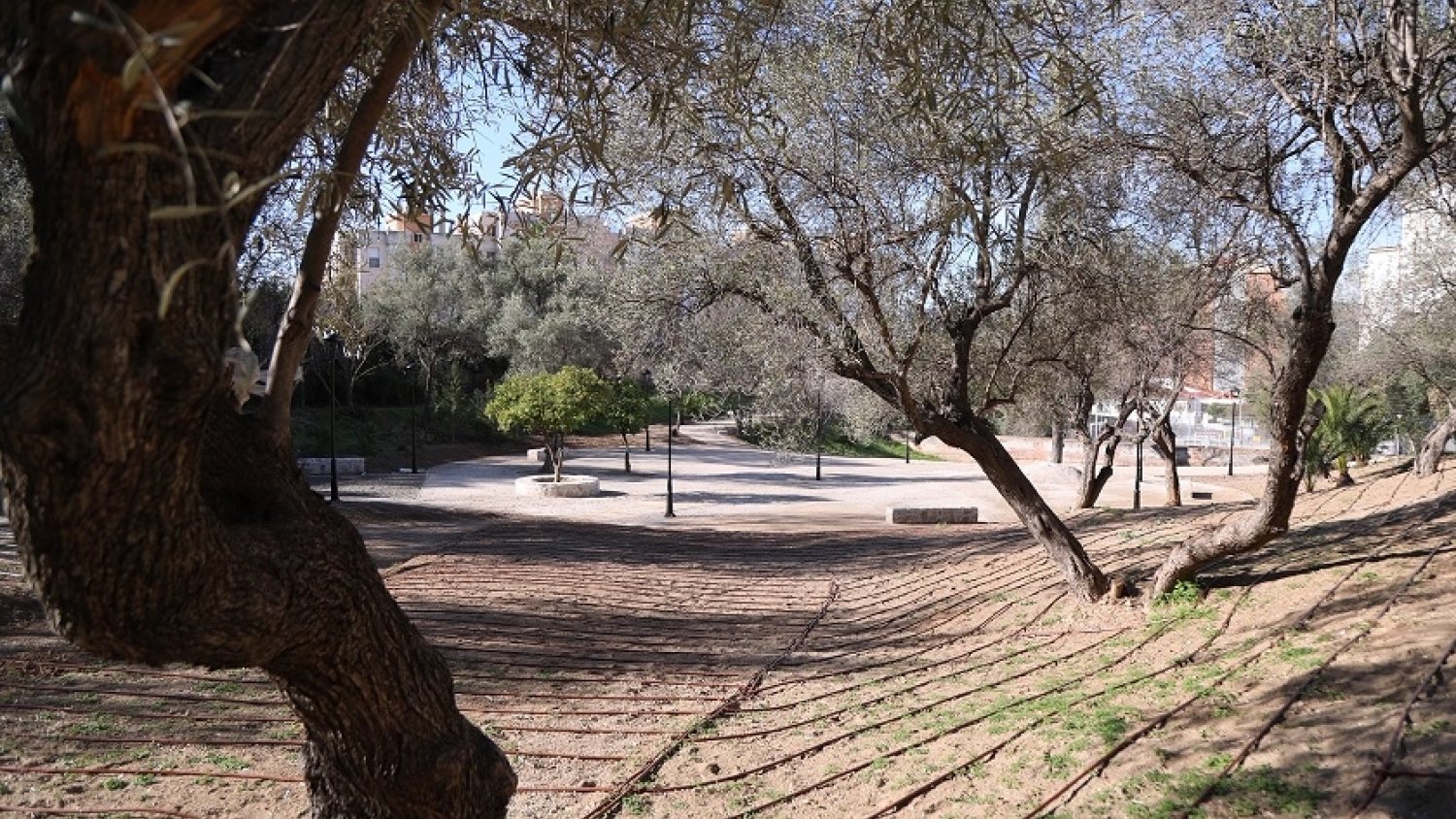 El Parque el Nogal en Ciudad Jardín contará con una nueva red de caminos que conectará toda la superficie