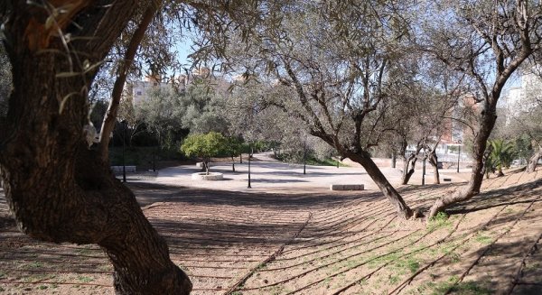 El Parque el Nogal en Ciudad Jardín contará con una nueva red de caminos que conectará toda la superficie