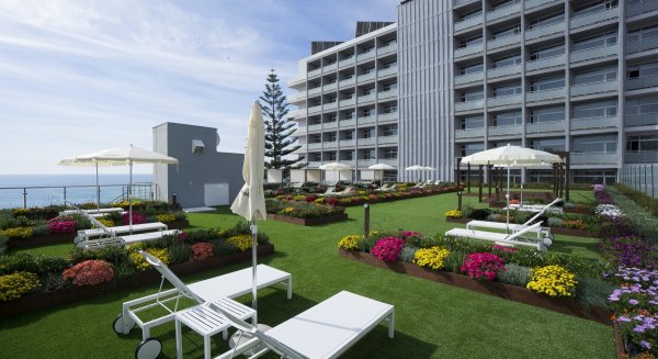 Aehcos prevé que diciembre finalice con una ocupación hotelera del 52,16%