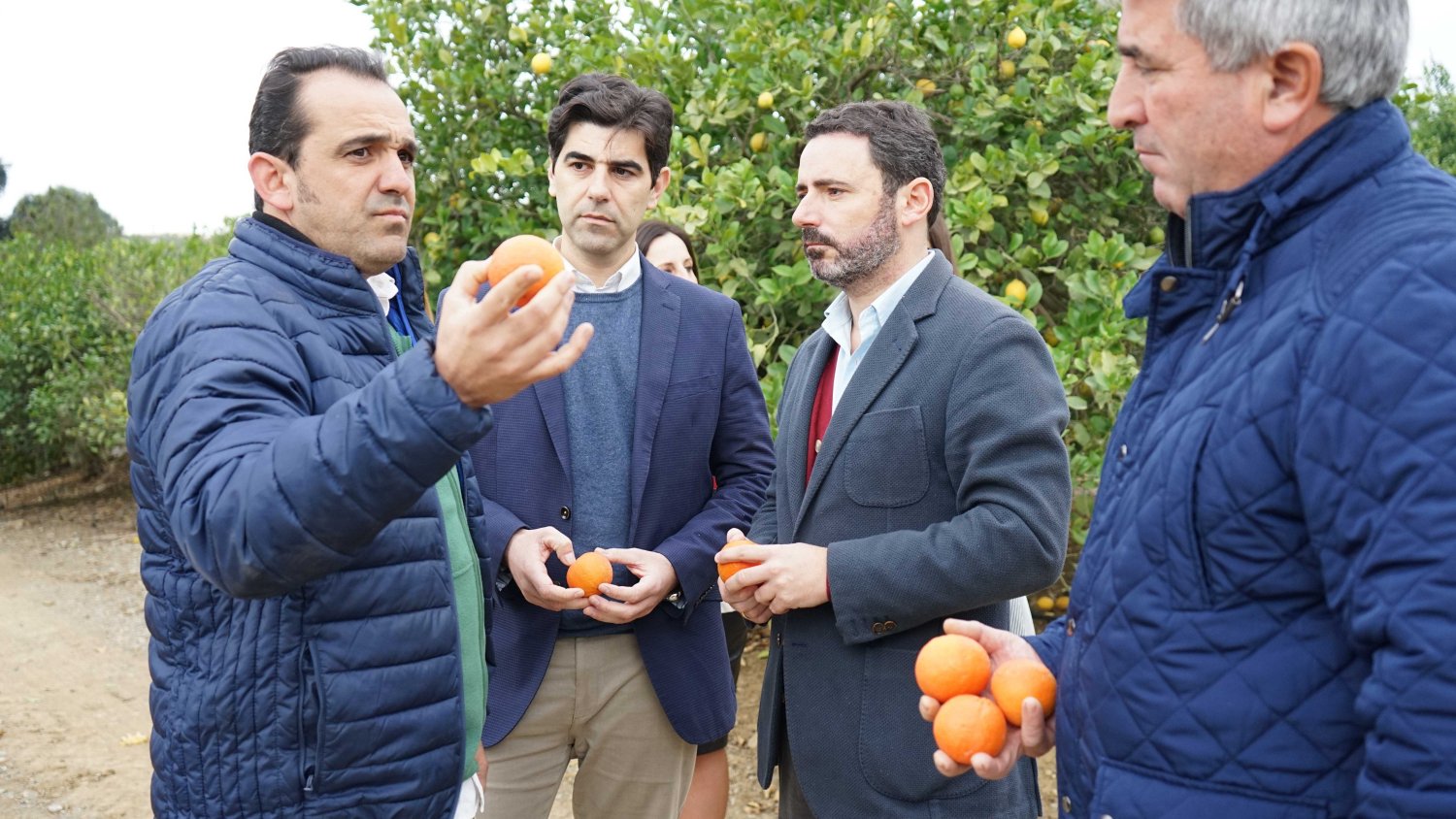 El PP pedirá al Gobierno una reducción del 50% de los impuestos a frutas y hortalizas