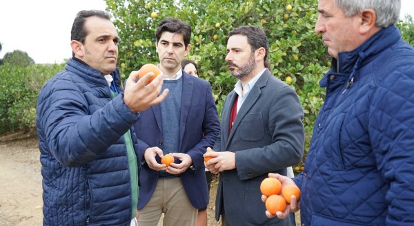 El PP pedirá al Gobierno una reducción del 50% de los impuestos a frutas y hortalizas