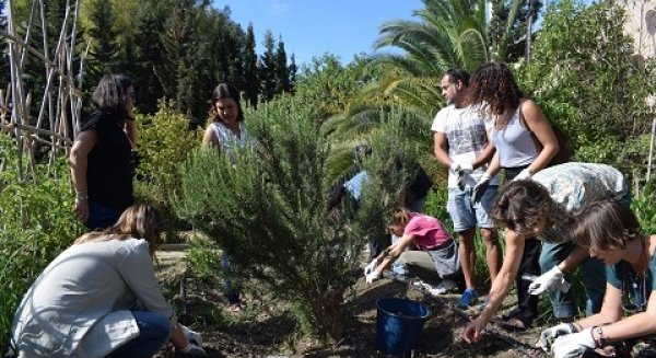 El centro de innovación social La Noria acoge hoy la II Jornada de Hortodiversidad Malagueña