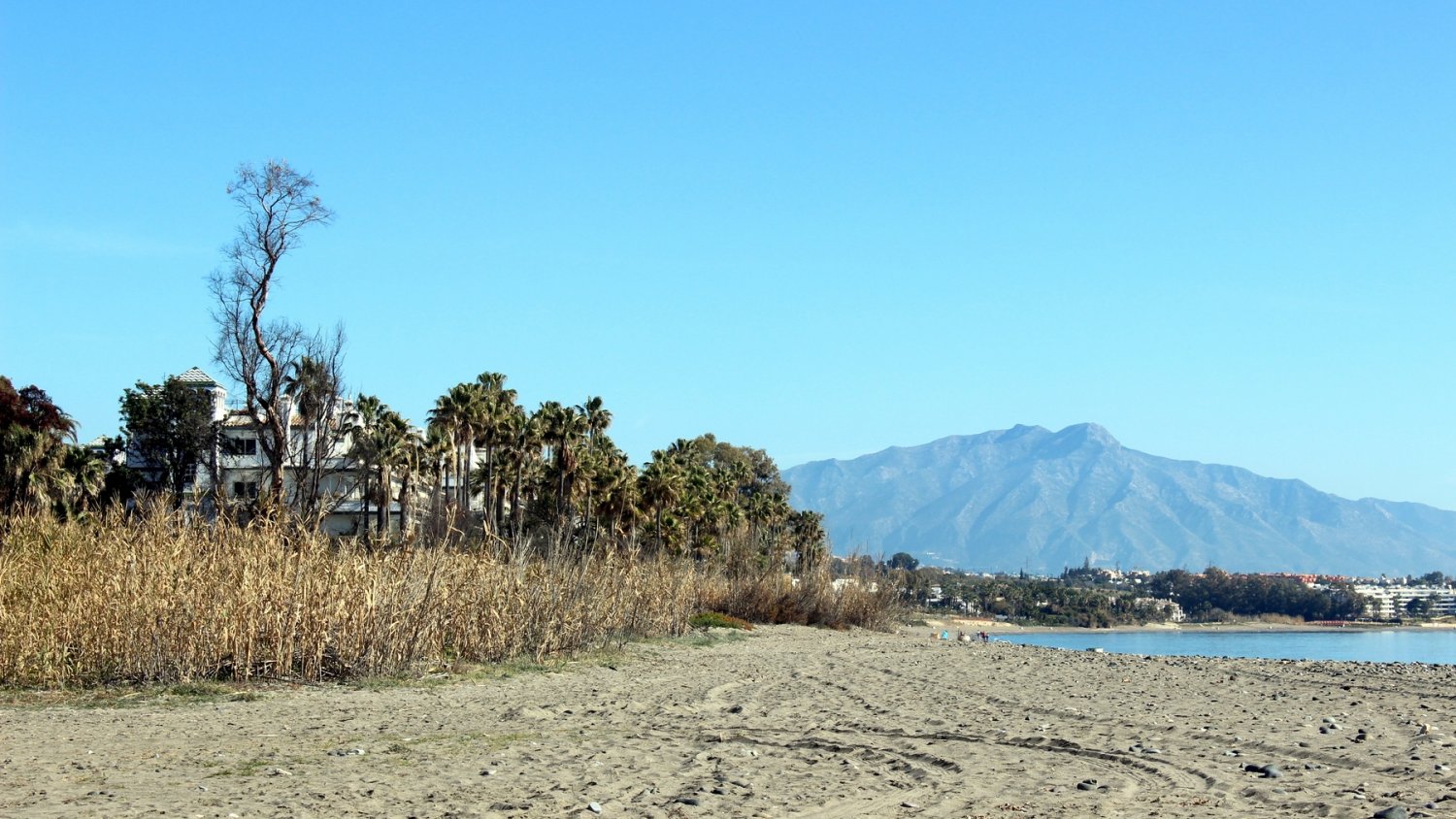 Estepona adjudica las obras para construir un nuevo tramo de corredor litoral que conectará 10 kilómetros