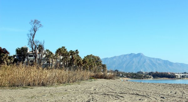 Estepona adjudica las obras para construir un nuevo tramo de corredor litoral que conectará 10 kilómetros