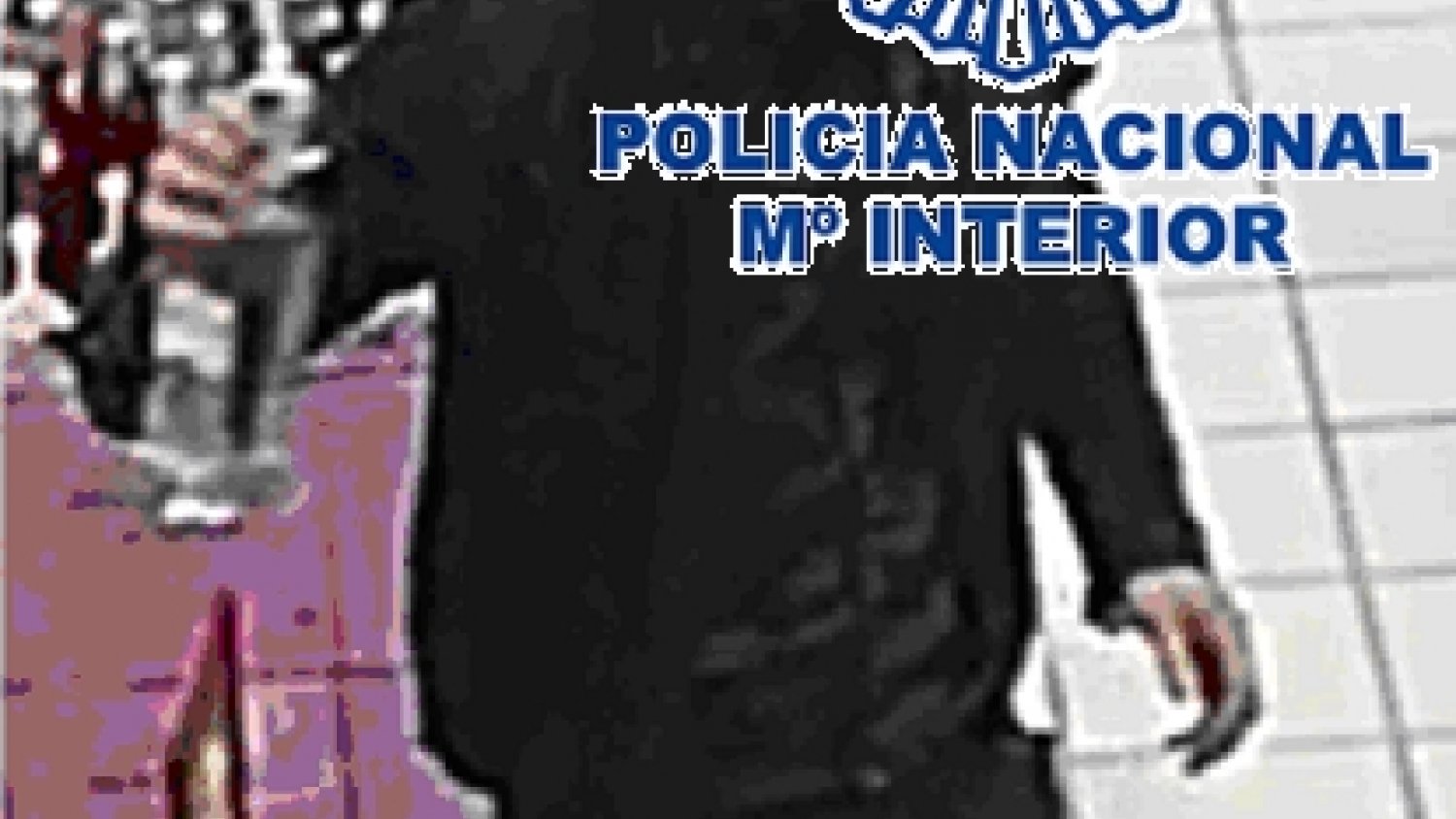 Detenido en Marbella por seis delitos de hurto en establecimientos de restauración