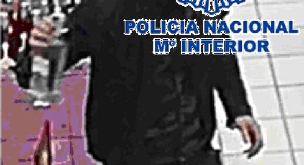 Detenido en Marbella por seis delitos de hurto en establecimientos de restauración