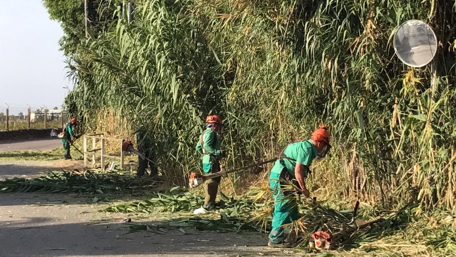 Estepona solicita una ayuda a la Junta de Andalucía para el arreglo de ocho caminos rurales