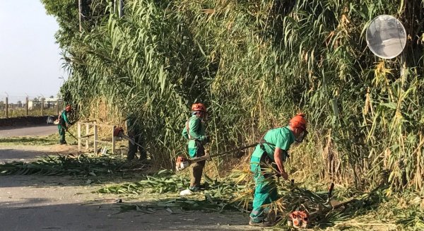 Estepona solicita una ayuda a la Junta de Andalucía para el arreglo de ocho caminos rurales