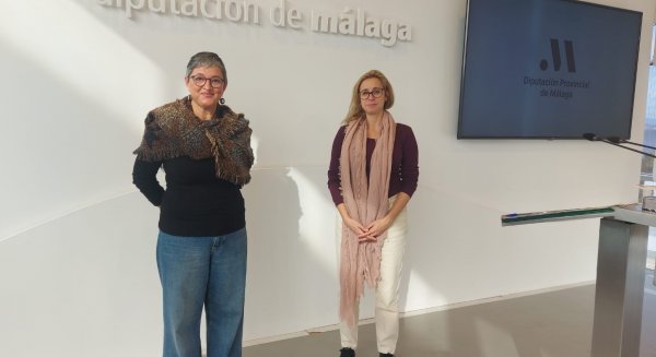 Unidas Podemos califica los presupuestos del PP en Diputación como “despóticos”