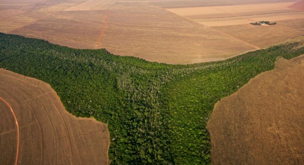 La UNIA organiza en Málaga un curso para conocer y medir el impacto del cambio climático