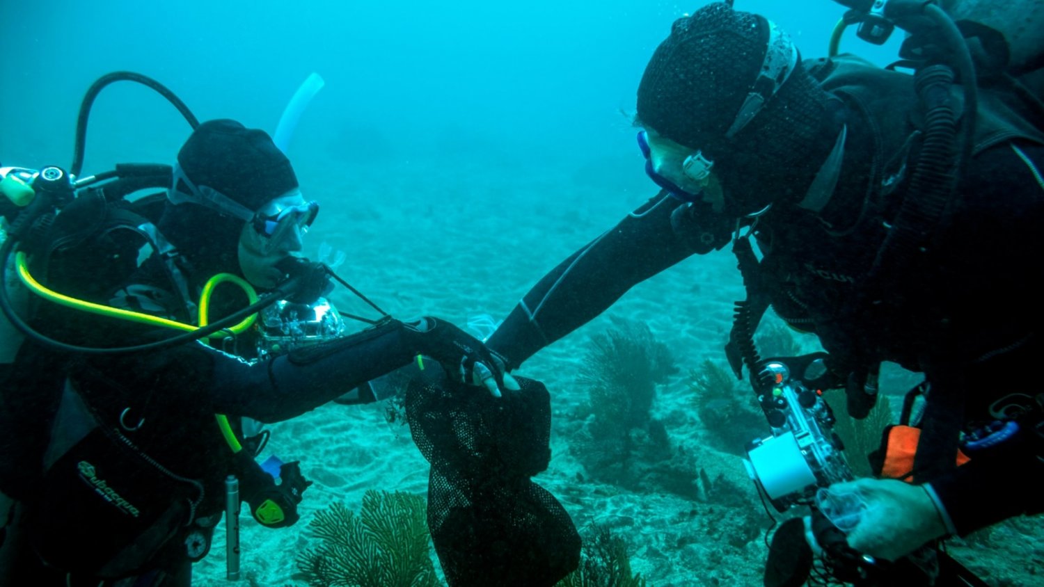 UMA.- La Universidad participa en un descubrimiento submarino en las Islas Galápagos