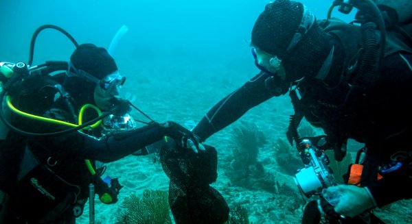 UMA.- La Universidad participa en un descubrimiento submarino en las Islas Galápagos