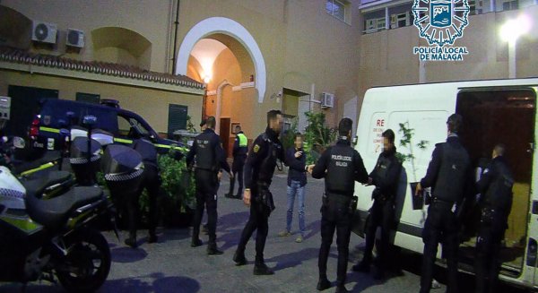 Detiene a dos individuos e incauta 105 plantas de marihuana del interior de una furgoneta