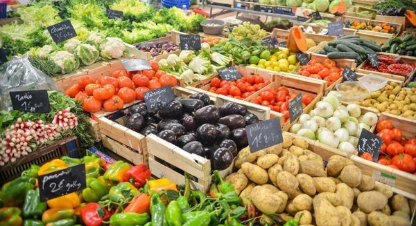 Málaga es la provincia andaluza en la que más crecen las exportaciones hasta noviembre de 2019