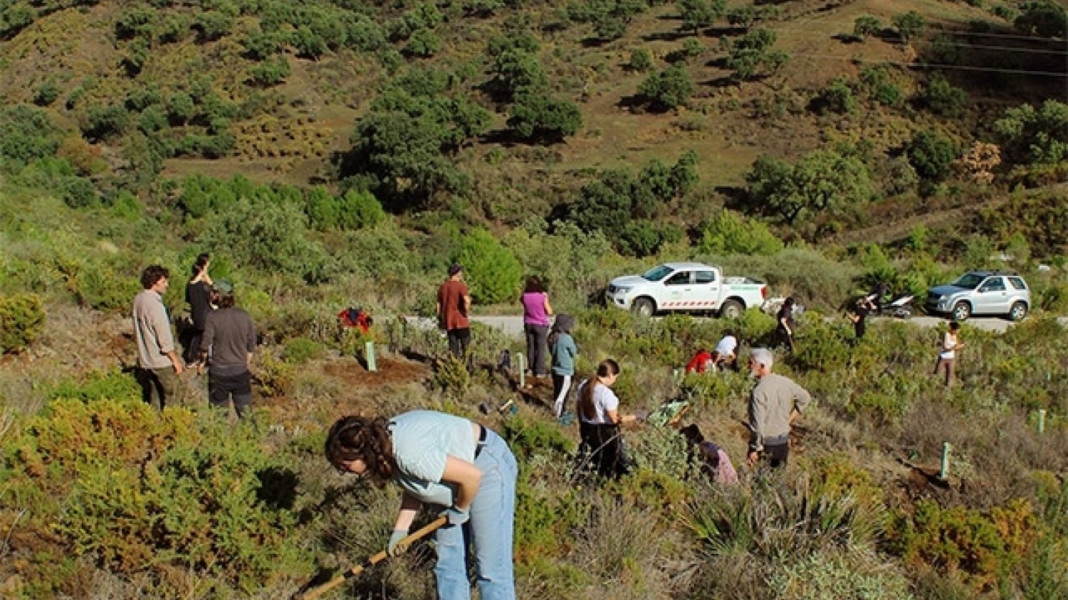 UMA.- La Universidad participa en la reforestación de la zona Arroyo Laurel en Mijas