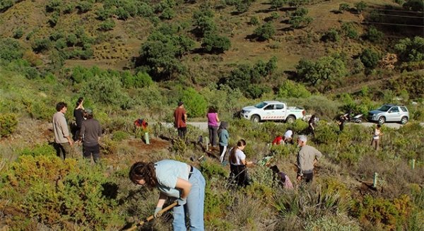 UMA.- La Universidad participa en la reforestación de la zona Arroyo Laurel en Mijas