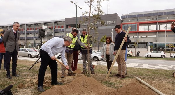 La UMA comienza el año plantando árboles autóctonos en el Campus de Teatinos