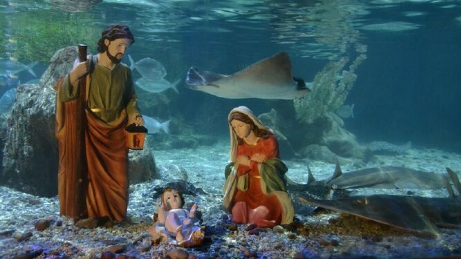 Sea Life Benalmádena vuelve a instalar un Belén Submarino por Navidad