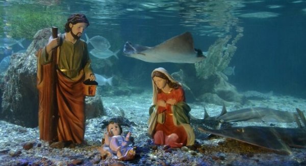 Sea Life Benalmádena vuelve a instalar un Belén Submarino por Navidad