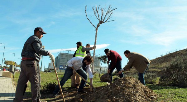 La Spin Off de la UMA Métrica6 cumple seis años y para celebrarlo planta árboles en la ampliación del Campus