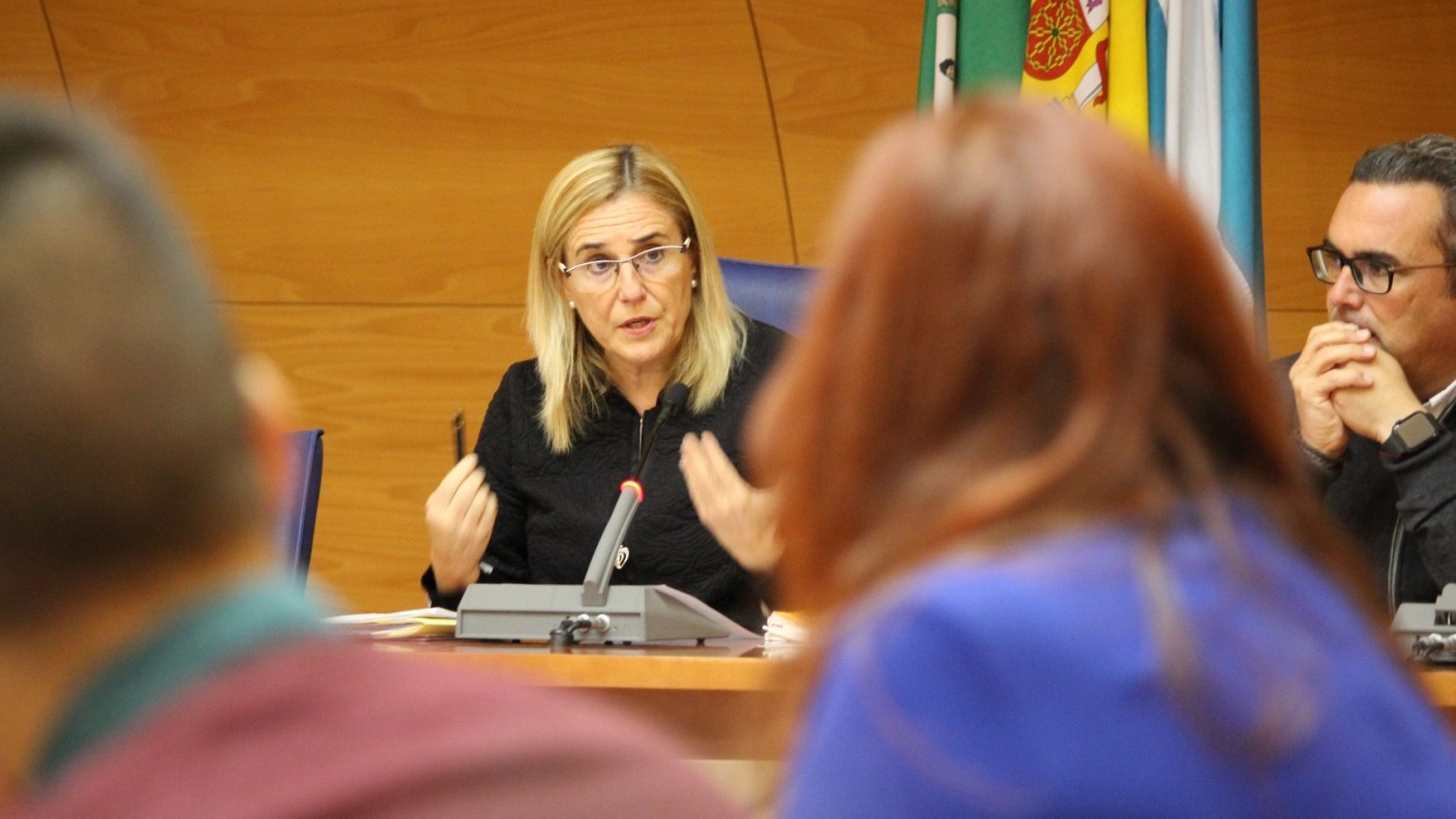 Fuengirola aprueba solicitar a la Junta el nombramiento de la localidad como municipio de Gran Población