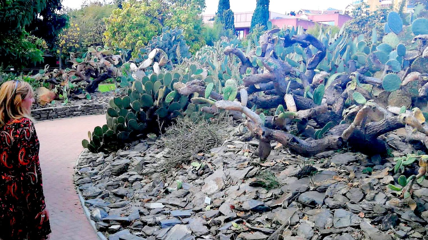 Ciudadanos Benalmádena exige solucionar la situación de abandono del Parque de la Paloma