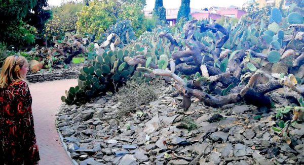 Ciudadanos Benalmádena exige solucionar la situación de abandono del Parque de la Paloma