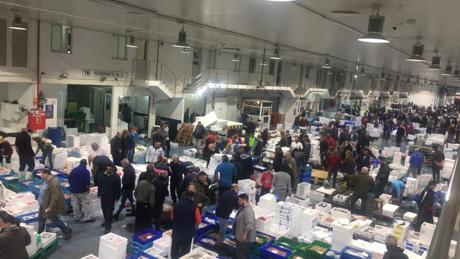 Mercamálaga logra disminuir el consumo energético en un 11.03% en 2019