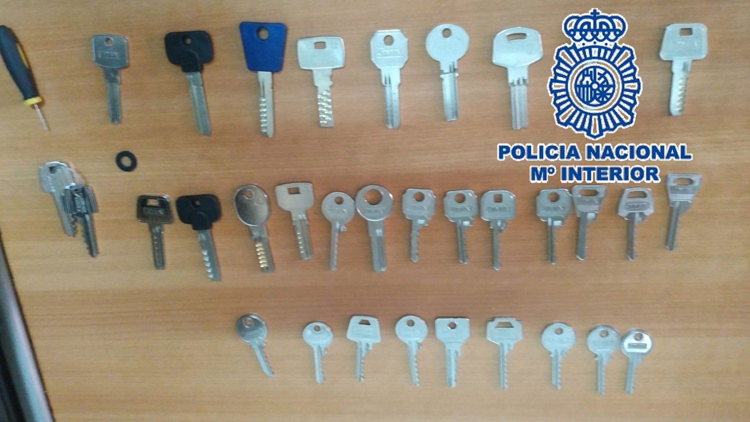Desarticulan en Málaga un grupo criminal responsable de 13 robos en viviendas habitadas
