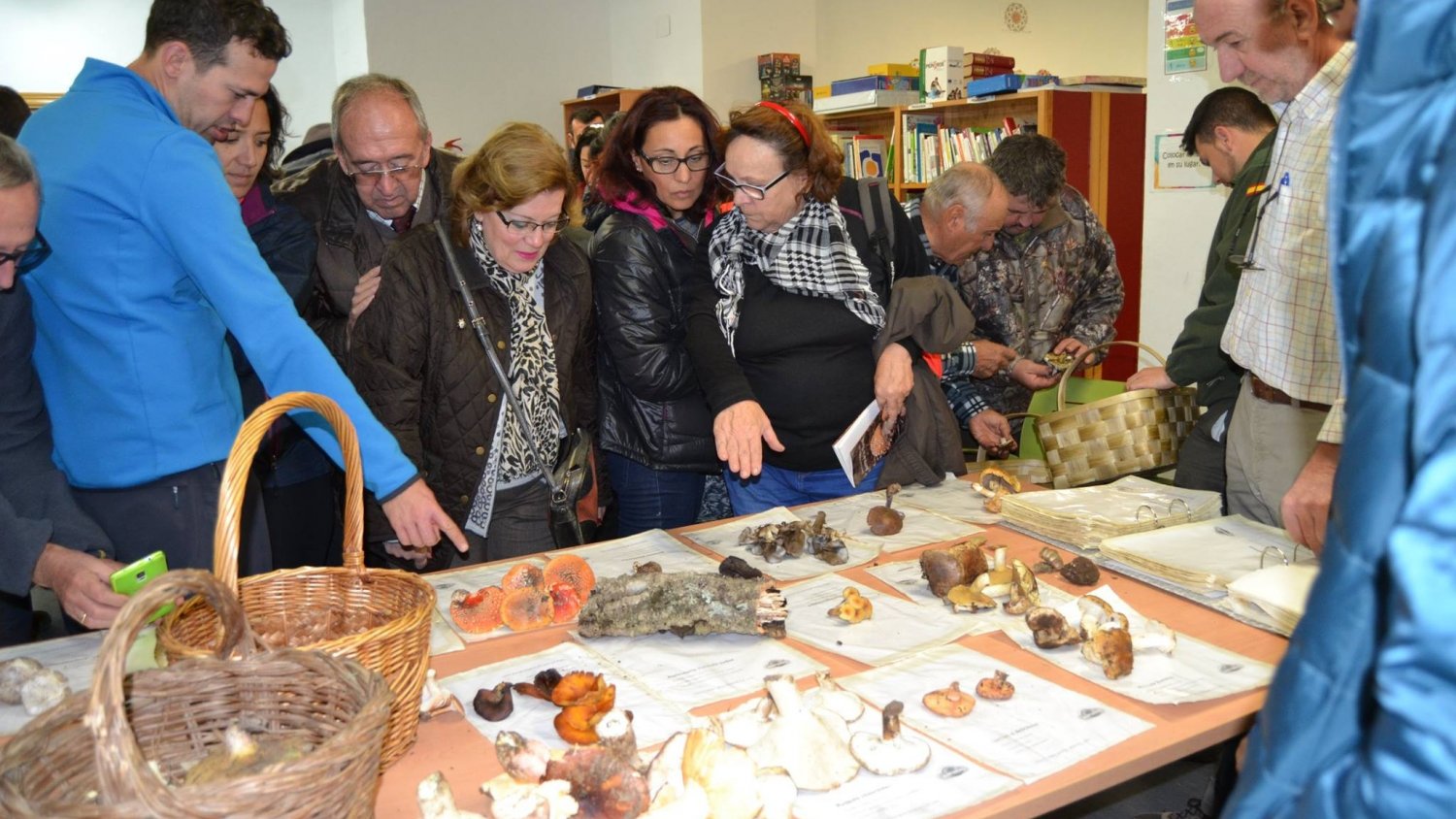 Monda celebra sus X jornadas micológicas con recolección de setas, charlas y talleres de maridaje