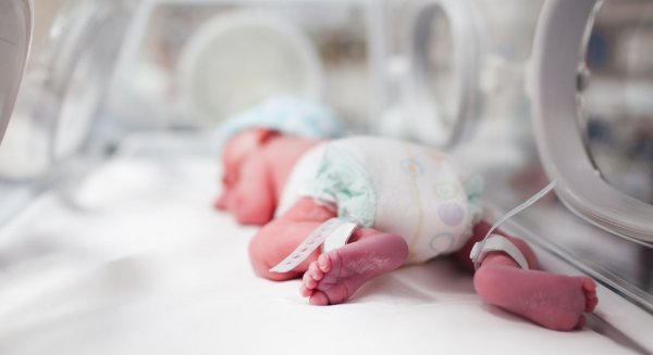 El Hospital Materno Infantil pone en contacto a profesionales y padres con hijos prematuros