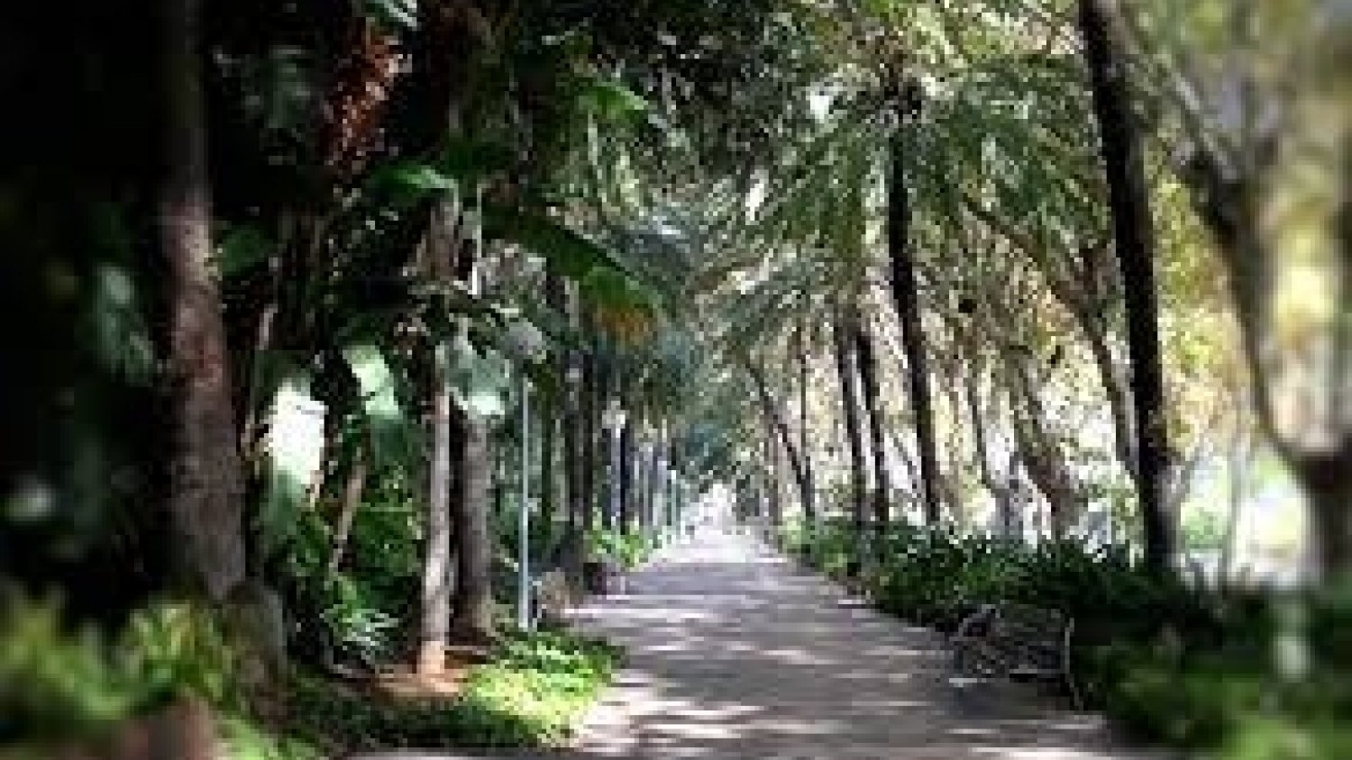 El Ayuntamiento de Málaga invierte 700 mil € en actuaciones de mejora de zonas verdes