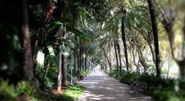 El Ayuntamiento de Málaga invierte 700 mil € en actuaciones de mejora de zonas verdes