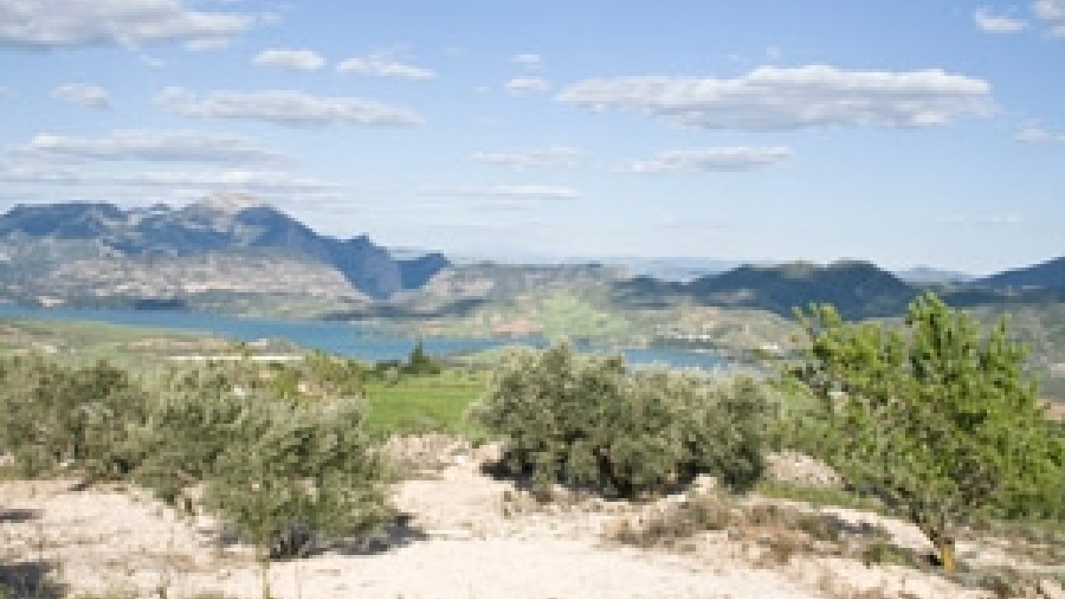 La Junta apela a la concienciación para lograr un ahorro y el uso eficiente del agua