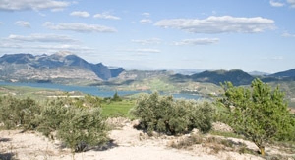 La Junta apela a la concienciación para lograr un ahorro y el uso eficiente del agua