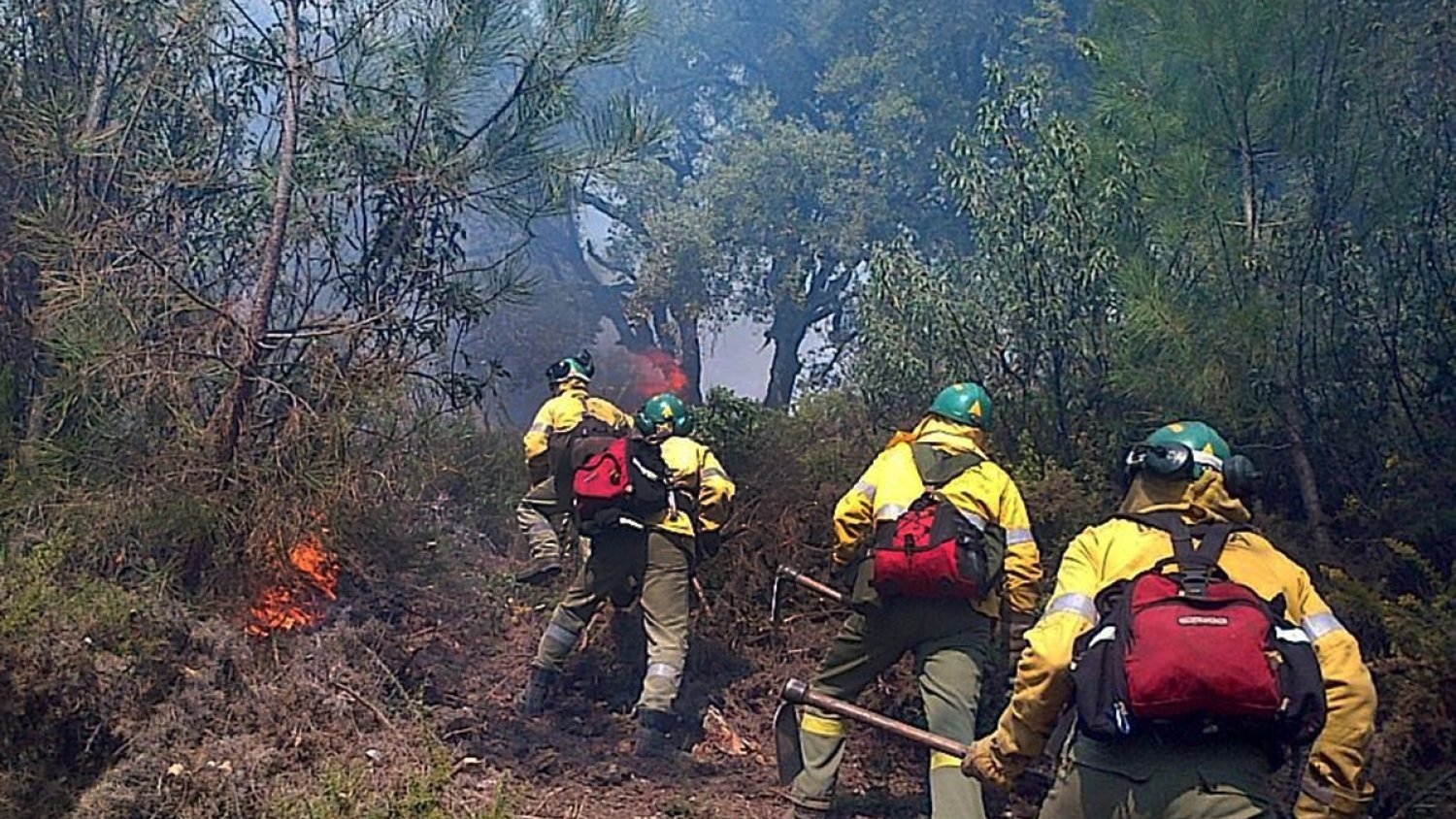 El Plan Infoca se cierra en Málaga con 433 hectáreas de superficie quemada