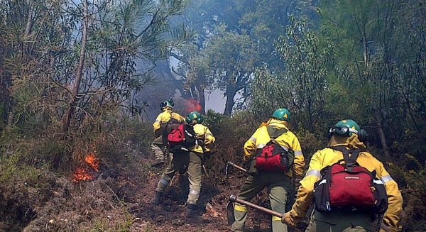 El Plan Infoca se cierra en Málaga con 433 hectáreas de superficie quemada
