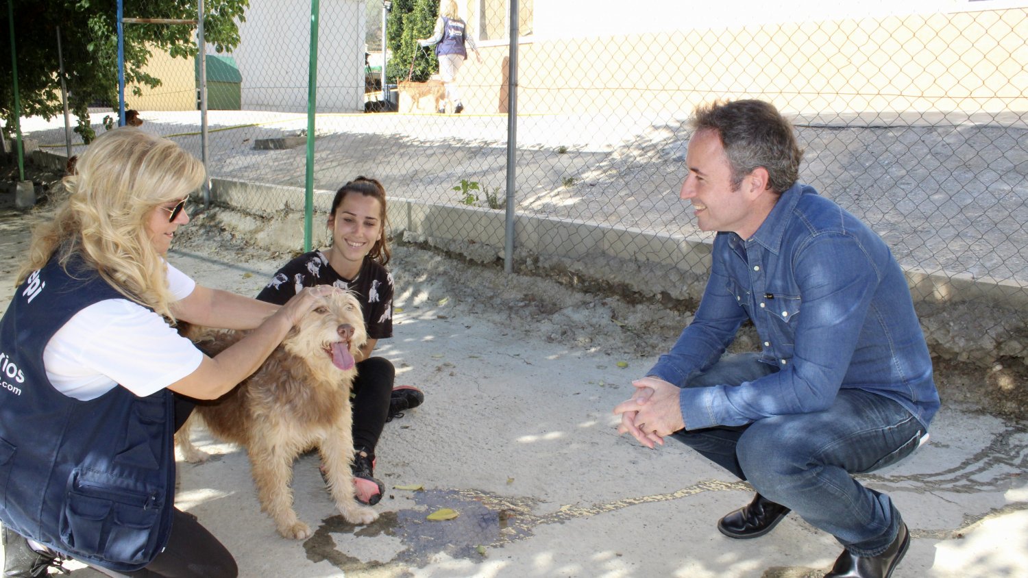 Ciudadanos quiere llevar a la cárcel a aquellas personas que maltraten a un animal