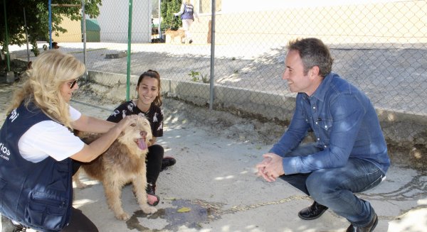 Ciudadanos quiere llevar a la cárcel a aquellas personas que maltraten a un animal