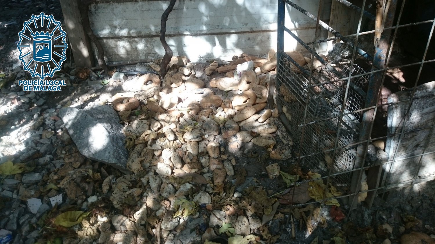 La Policía Local investiga a un hombre como presunto autor de un delito de abandono animal