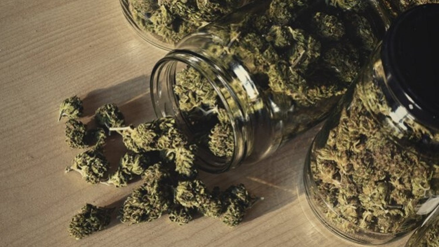 Desarticulan una organización criminal dedicada al tráfico internacional de marihuana en cogollos