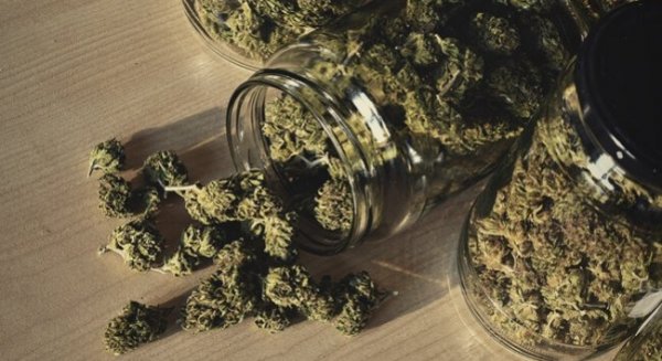 Desarticulan una organización criminal dedicada al tráfico internacional de marihuana en cogollos
