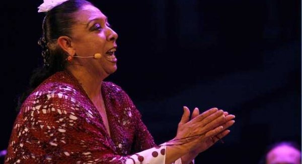 El Aula Municipal de Flamenco reanuda su actividad el lunes con la actuación de Amparo Heredia