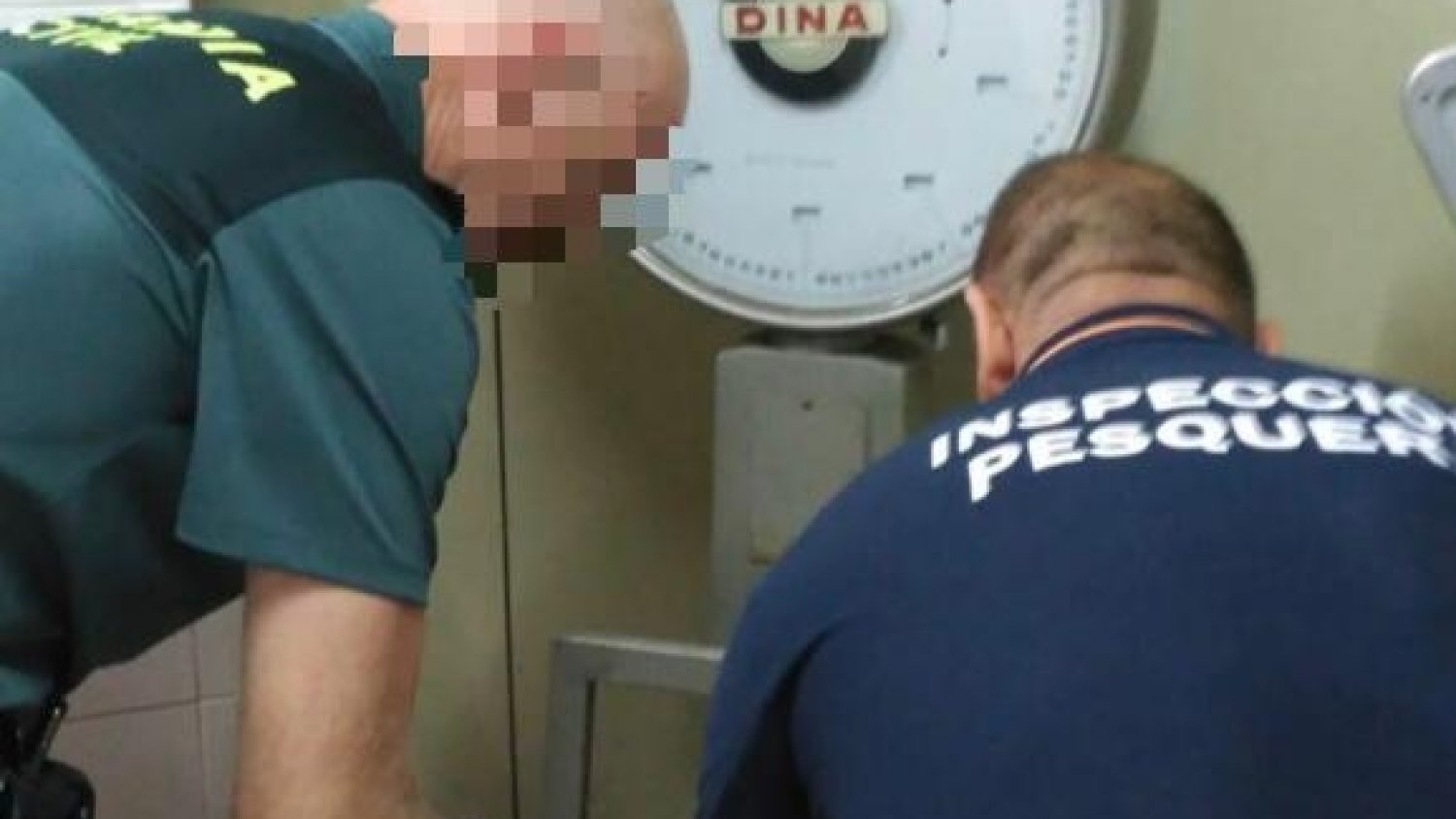 Desarticulado un local clandestino de venta de pulpos inmaduros en Fuengirola