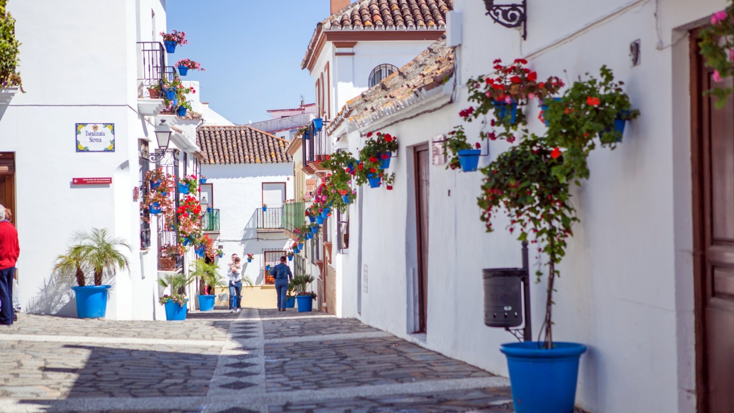 Estepona adjudica la redacción del proyecto de remodelación de 11 calles