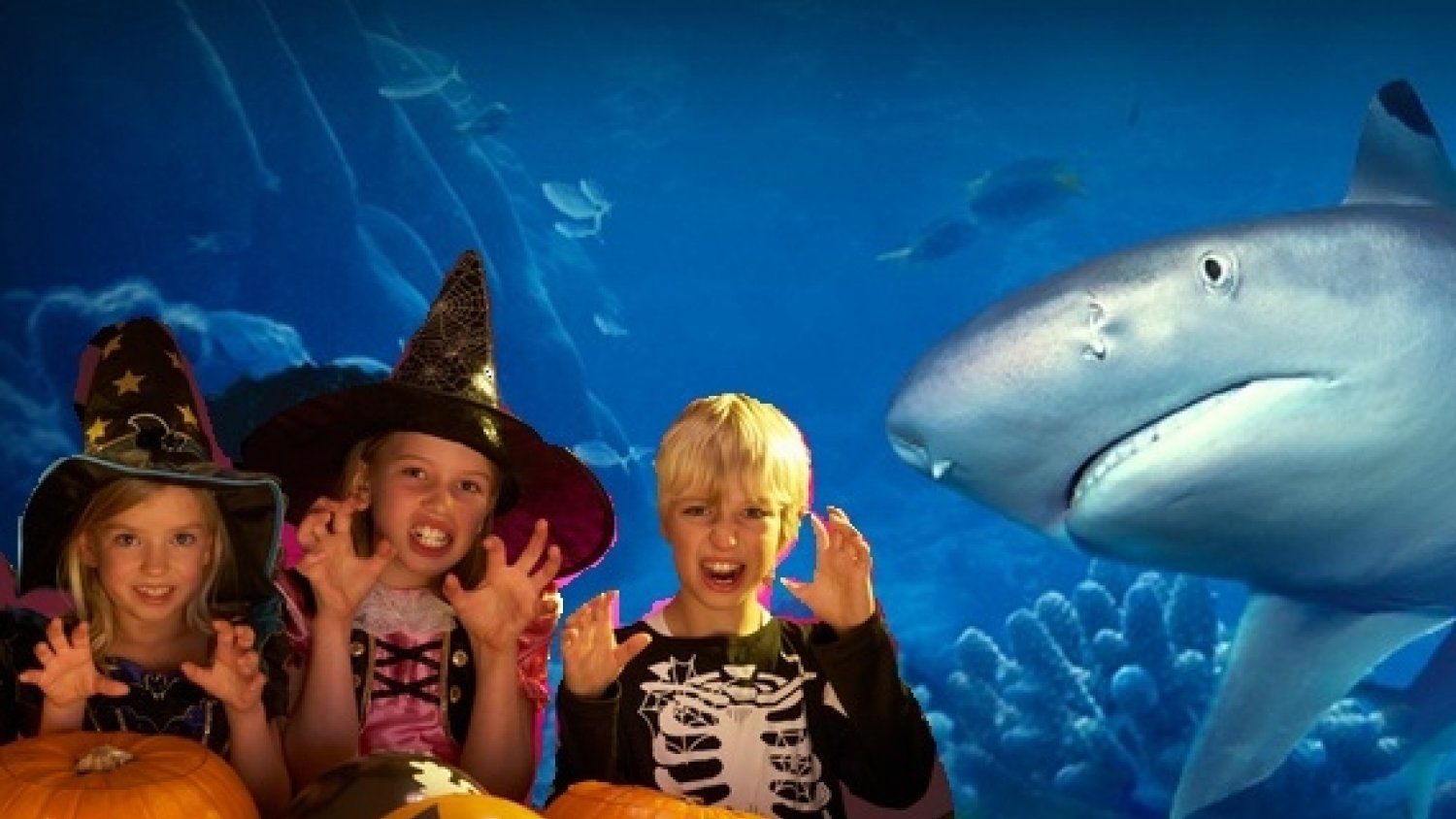 Sea Life Benalmádena premia con entrada gratis a los menores que acudan disfrazados de Halloween