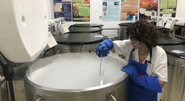 Las pacientes oncológicas pediátricas podrán preservar su tejido ovárico en Málaga